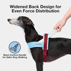 VETRESKA Dog Harness Small Sized Dog, Adjustable No Choke Puppy Harness XS | No Pull, Easy Control Pet Harness Vest for Dogs, Cat, Kitten, Dog Harness with Anti-Tangle Dog Leash Set (Misty Melo)