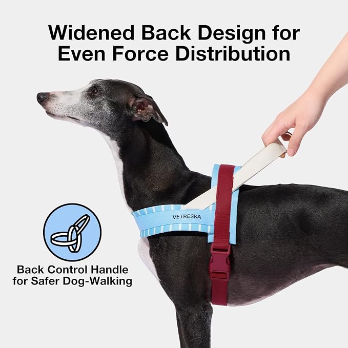 VETRESKA Dog Harness Small Sized Dog, Adjustable No Choke Puppy Harness XS | No Pull, Easy Control Pet Harness Vest for Dogs, Cat, Kitten, Dog Harness with Anti-Tangle Dog Leash Set (Misty Melo)