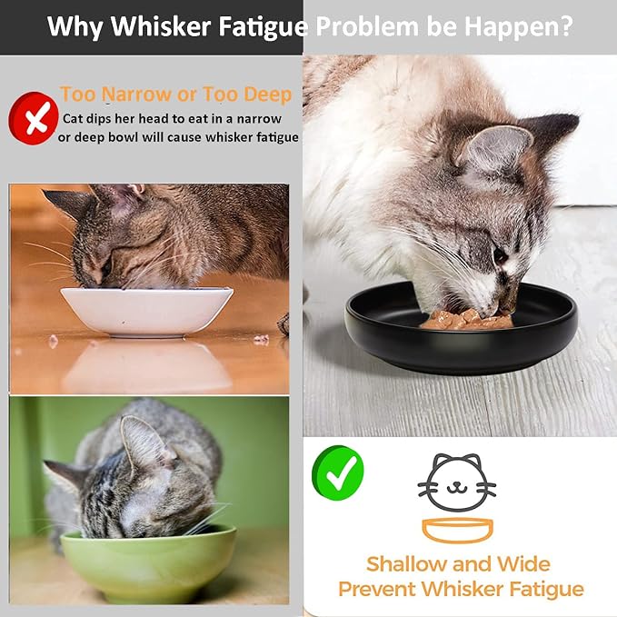 Ceramic Cat Bowls - Shallow Dishes for Food and Water, 6 Inch Matte Finish Wide Cat Food Bowl, Whisker Fatigue Free Pet Puppy Kitten Bowl Set of 3, Dishwasher Safe