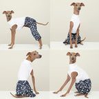 D Doggy Star Italian Greyhound Clothes Cargo Pants Onesie Outfit Whippet for Dog Coat (M,DNM Star Cargo)