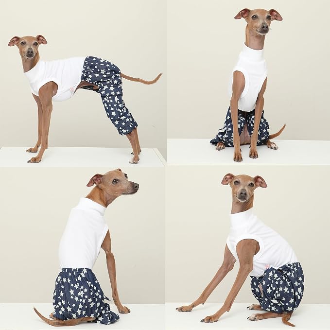 D Doggy Star Italian Greyhound Clothes Cargo Pants Onesie Outfit Whippet for Dog Coat (M,DNM Star Cargo)
