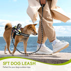 Service Dog Harness and Leash Set, XS, Multi-Colored, with 10 Patches, Reflective, for Small to XL Dogs