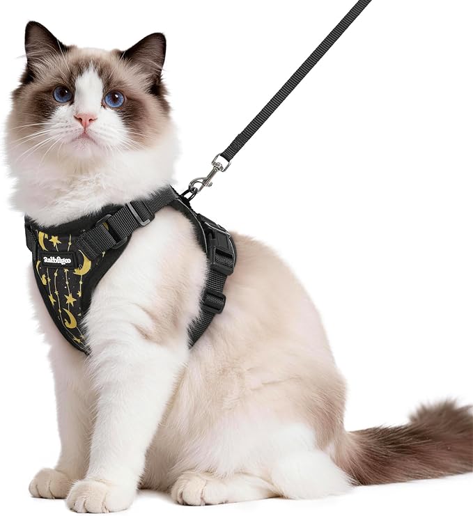 rabbitgoo Cat Harness and Leash Set, Escape Proof Vest, Lunar Prowl | Soft Breathable Mesh, Easy Adjustable Fit, Snap Buckles, Sturdy Clip, Reflective Strips, for Medium to Large Cats Walks, M