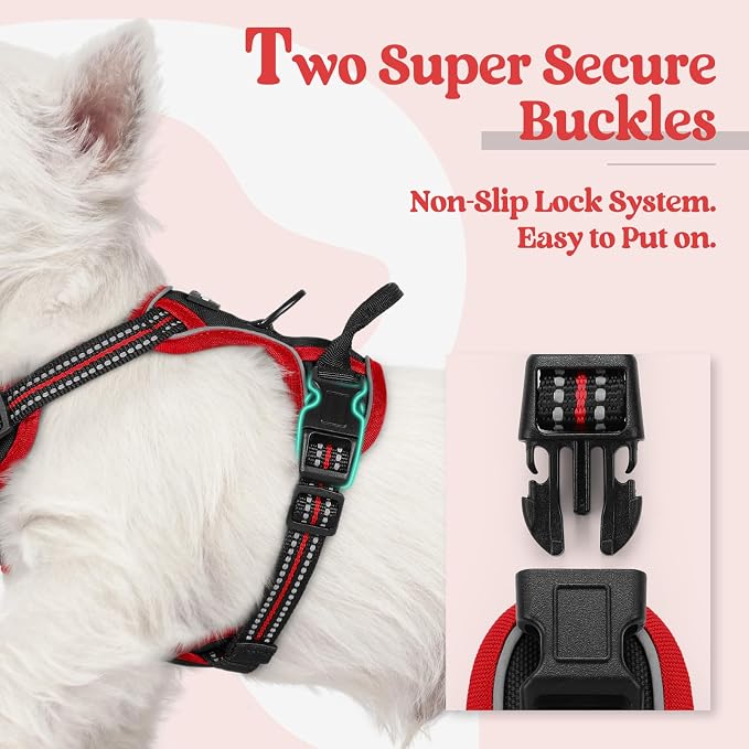rabbitgoo Dog Harness, No Pull for Small Dogs with 2 Leash Clips, Pet Vest | No Choke with Handle, Adjustable Soft Padded, Reflective, Easy Control for Walking, Black & Red, X-Small