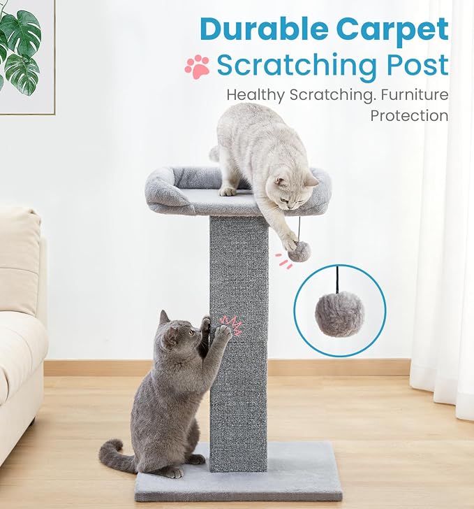 Made4Pets 32" Carpet Cat Scratching Post with Bed for Indoor Cats, Grey | Carpet Cat Scratcher, Raised Perch with Removable Washable Cover, Wide Base, Hanging Ball, Compact Indoor Design
