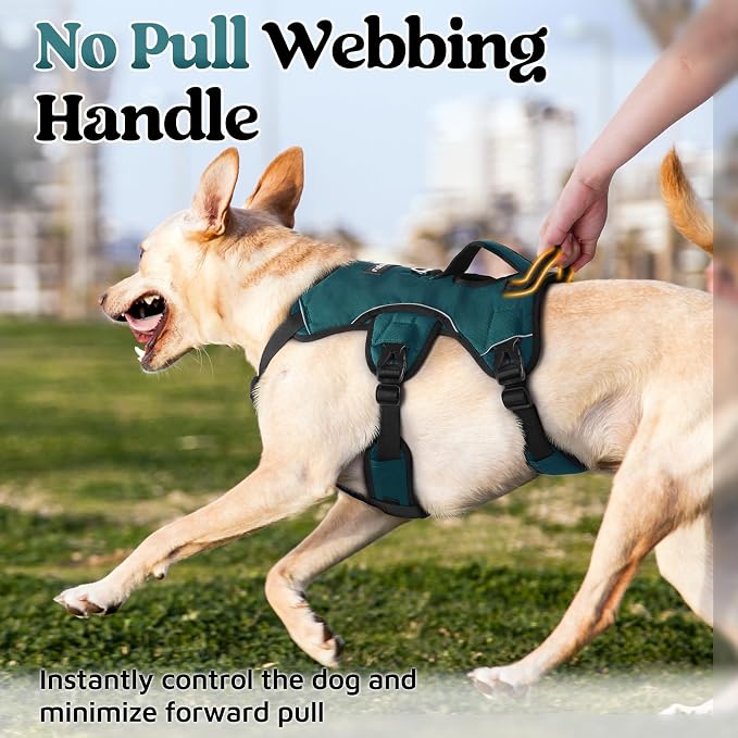 rabbitgoo Escape Proof Dog Harness for Large, No Pull with Lift Handle | No Escape, Full Soft Padded, Reflective Adjustable Vest, Leash Clip for Walking Hiking Training, Dark Green, Large
