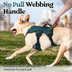 rabbitgoo Escape Proof Dog Harness for Large, No Pull with Lift Handle | No Escape, Full Soft Padded, Reflective Adjustable Vest, Leash Clip for Walking Hiking Training, Dark Green, Large