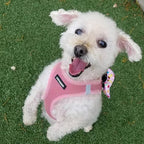 Best Pet Supplies Voyager Step-in Air All Weather Mesh Harness and Reflective Dog 5ft Leash Combo with Neoprene Handle, for Small, Medium and Large Breed Puppies - Pink, X-Small