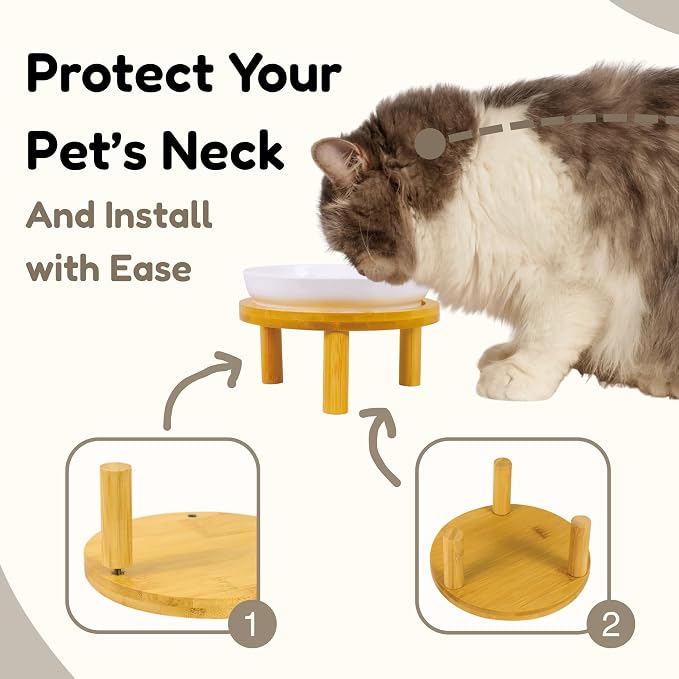 Elevated Ceramic Cat Bowls with Bamboo Stand for Cat Bowl, Whisker Friendly Shallow Cat Plate, Stable Raised Cat Food Riser for Indoor Cats (White, Set of 1)