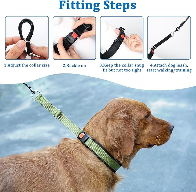 Mayerzon No Pull Dog Collar Martingale, Green, L | Neck Cir 18.5"-23.5" | For Small Medium Large Dogs, Buckle, Heavy Duty Nylon, For Walking Training Hunting, Adjustable, Safe & Easy to Use, Patented