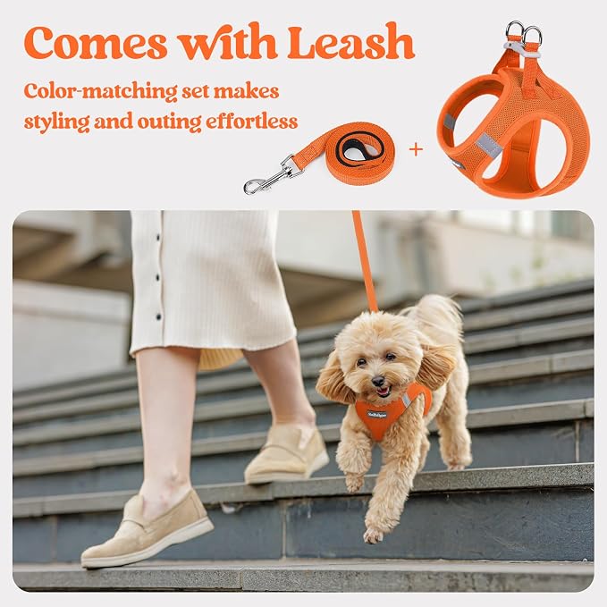 rabbitgoo Dog Harness Small Sized and Leash Set, Step-in Puppy Pet Vest | Light, Soft, Breathable Air Mesh, Easy on and Remove with Hook & Loop, Secure Reflective for Walking, Orange XXS