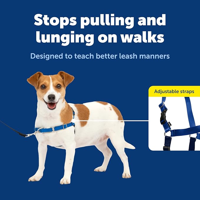 PetSafe Easy Walk Harness for Dogs - Pull-Free Walks - Patented Martingale Loop Design - Front Chest Leash Attachment - Comfort Straps - Breathable Harness Design - Small, Royal Blue/Navy Blue