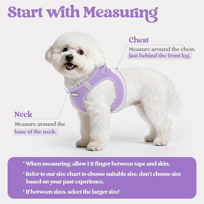 rabbitgoo Dog Harness Small Sized and Leash Set, Step-in Puppy Pet Vest | Light, Soft, Breathable Air Mesh, Easy on and Remove with Hook & Loop, Secure Reflective for Walking, Light Purple XXS