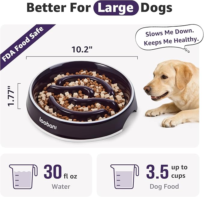LOOBANI 3.5 Cups Ceramic Slow Feeder Dog Bowls Large Dogs with Grip Handles | Heavy Ceramic, Stay in Place, Healthier Eating, Durable & Easy-Clean, Foam-Protected, Perfect for Fast-Eating Large Breeds