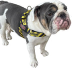 BULLHUG Adjustable Dog Harness– No Pull, No Choke – for English Bulldogs, French Bulldogs, Pugs & Broad-Chested Breeds – Easy, Safe Walks (Caution, Large)