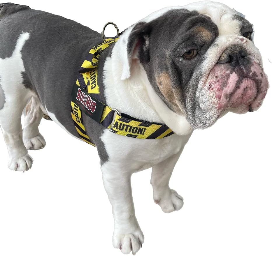 BULLHUG Adjustable Dog Harness– No Pull, No Choke – for English Bulldogs, French Bulldogs, Pugs & Broad-Chested Breeds – Easy, Safe Walks (Caution, Large)