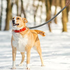 Mile High Life Dog Leash with Genuine Leather Connection, 6 FT/5 FT/4 FT | Rope Leash, Heavy Duty 360° Swivel Metal Clasp, for Small Medium & Large Dogs (Black Khaki, 72 Inch)