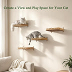 SETVSON Cat Window Perch 2-in-1 Cat Window Hammock Bed, Wall Shelves | Handwoven PE Rattan Kitty Seat with 4 Suction Cups, Double-Sided Washable Cushion Bed, 2.3" Fence, 16.5x12.6 In, Home Decor