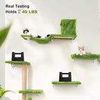 FUKUMARU Cat Wall Shelves, 4 in 1 Set, Green | Stable & Safe Cat Walls Furniture, Wooden Kitten Climbing Wall with Scratching Post for 16 Inch Drywall