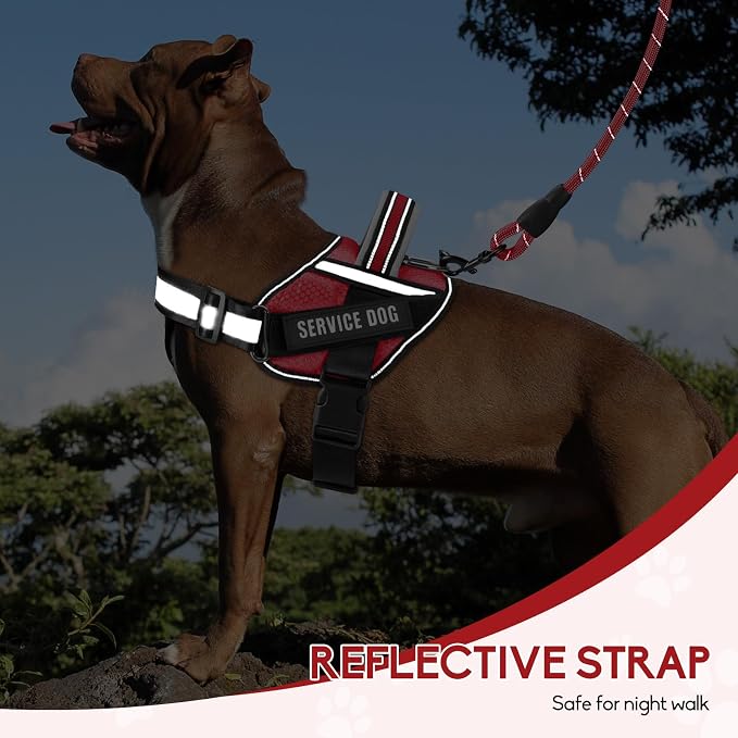 Service Dog Vest Harness and Leash Set, Animire in Training Dog Harness with 10 Dog Patches, Reflective Dog Leash with Soft Padded Handle for Small, Medium, Large, and Extra-Large Dogs (RED,XS)