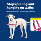 PetSafe Easy Walk No-Pull Dog Harness - Ultimate Harness to Help Stop Pulling - Pull-Free Walks - Take Control & Teach Better Leash Manners - Patented Martingale Loop Design - Raspberry, Medium/Large