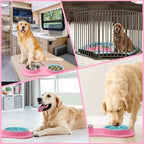 Slow Feeder Dog Bowls 3 in 1 Stainless Steel Food Water Bowl to Slow Eating | Durable, Non-spill & Non-skid with Silicone Mat Design, Slow Down Eating, Suitable for Small Medium Large Dogs and Cats