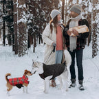 Kuoser Waterproof Dog Coat, Reversible Dog Jacket for Medium Dogs | Adjustable Durable Doggie Winter Coat Warm Puppy Cold Weather Apparel from Small to Large Breed, Bright Red M