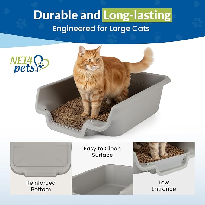 KittyGoHere Senior Cat Litter Box, Jumbo Litter pan, 2 Pack Misty Gray | Open Top Low Entrance Kitty Litter Box, Lightweight Low Entry Litters Box, Durable Design for Easy Cleaning, Made in USA