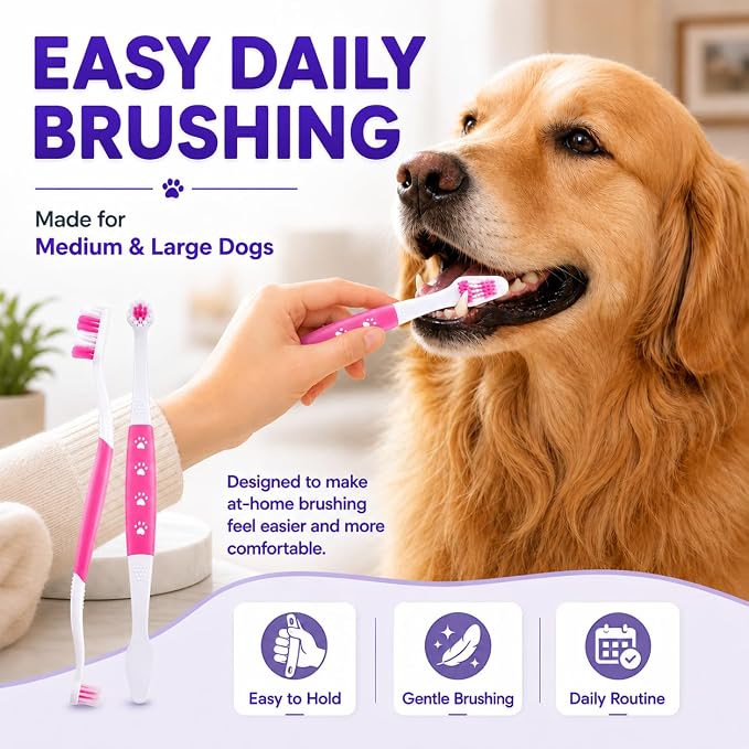 Dog Toothbrush, Dual-Head, for Medium-Large Dogs,Pink | Soft Bristles for Gentle Cleaning ,60° Curved Bristles for Better Coverage ,Comfortable for Sensitive Gums