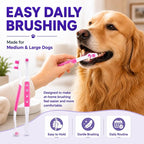 Dog Toothbrush, Dual-Head, for Medium-Large Dogs,Pink | Soft Bristles for Gentle Cleaning, 60° Curved Bristles for Better Coverage, Comfortable for Sensitive Gums