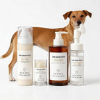 ZenSpa 4-in-1 Dog Spa Kit | Oatmeal Shampoo, Conditioner, Paw Cleaner and Nose Balm | Hypoallergenic Natural Formula for Sensitive Skin | All Breeds and Puppies