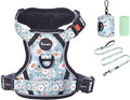 Petmolico No Pull Dog Harness Set with Leash Attachment Easy Control Handle Reflective Harness Vest Small Breed, Puppy Vest and Leash Set with Poop Bag Holder, Medium - Daisy