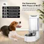Sfozstra 8L Gravity Dog Water Dispenser:Stainless Steel Bowl | No Filter Maintenance/ Non-Slip Base/Easy-Clean/for Living Room & Bedroom/Multi-Pet Friendly