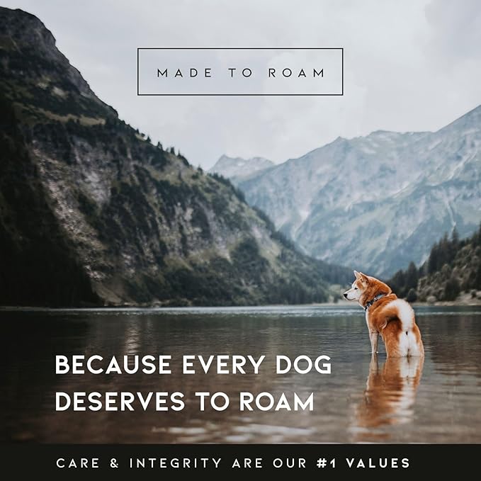 MADE TO ROAM Premium Explorer Leash - Climbing Rope Leash with Autolocking Aviation Aluminum Carabiner - Michigan Autumn, 6ft