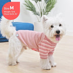 KYEESE 2Pack Waffle Dog Shirt with Sleeves Soft Striped Dog Sweater | Turtleneck, Cozy Warmth. Lightweight & Breathable, Gentle on Sensitive Skin, Free to Move, Comfortable Daily Wear
