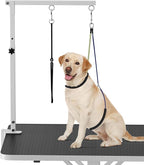 Dog Grooming Arm with Clamp for Small Dog, Adjustable Height to 33in, Pet Grooming Arm for Table with 1 Loop Noose & 2 No Sit Haunch Holder for Home & Store Nail Trimming (Table Not Include)