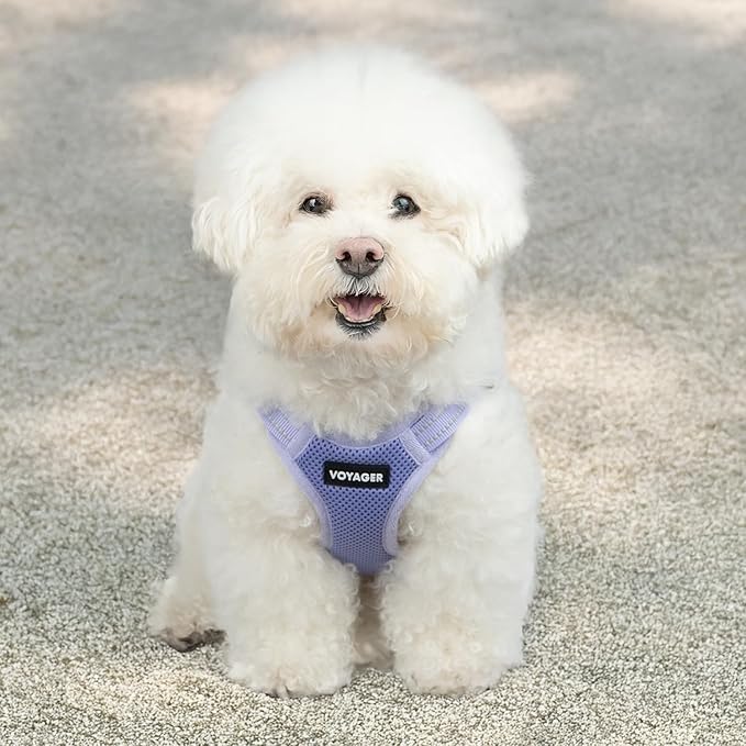 Voyager Step-in Flex Adjustable Dog Harness - Lavender, X-Large | 23 - 28" in Chest, Fully Adjustable, Reflective Bands, All Weather Breathable Air Mesh, Lightweight, Fast Drying