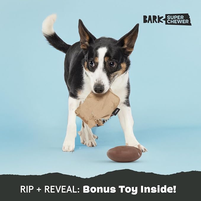 Barkbox Jitter Pug Coffee Bean Dog Toy for Medium Dogs, Hidden Surprise Toy Inside for Engaged and Excited Playtime Fun | Hidden Surprise Toy Inside for Engaged and Excited Playtime Fun