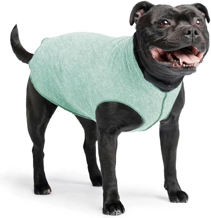 Goldpaw Dog Sun Shirt with UV Protection - Lightweight, Cooling Sun Protection Clothing for Medium Dogs - Reduce Heat Absorption - Made in the USA - Machine Washable - Pistachio Green - Size 16