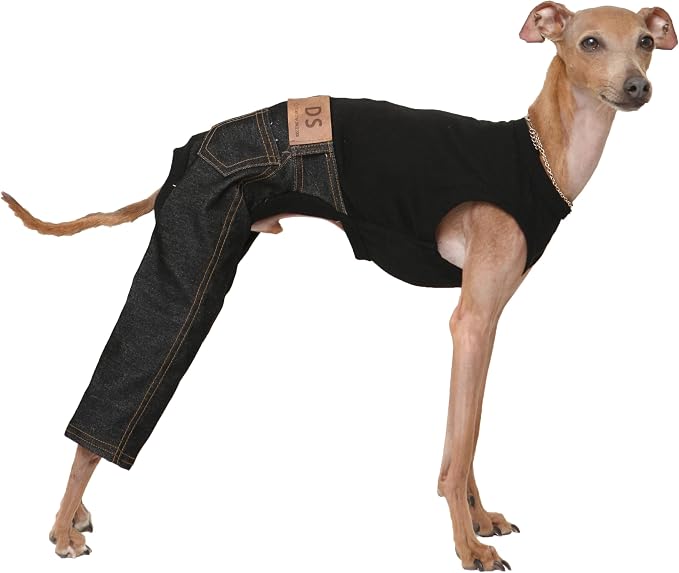D Doggy Star Italian Greyhound Clothes Sleeveless Jeans Onesie Outfit Whippet for Dog Coat (L,Black Jean)