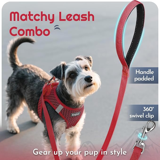 Eagloo Small Dog Harness and Leash Set, Step in Medium Small Puppy Pet Vest | Light, Soft, Breathable Air Mesh, Easy on and off with Hook & Loop, Reflective for Safe Walking, Red, L