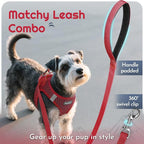 Eagloo Small Dog Harness and Leash Set, Step in Medium Small Puppy Pet Vest | Light, Soft, Breathable Air Mesh, Easy on and off with Hook & Loop, Reflective for Safe Walking, Red, L