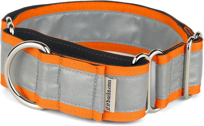 If It Barks - 1.5" Reflective Martingale Collar for Dogs - Adjustable - Made in USA - Strong, Durable, and Comfy - Ideal for Training - Suitable for Most Breeds - Small, Orange