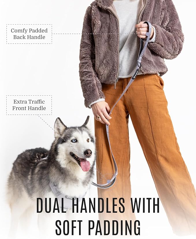 Fei & Eve Classic Dog Leash | Soft-Touch 210D Nylon, Dual Padded Handles, Traffic Handle, Tangle-Free, Heavy Duty, Twilight Gray, 4FT