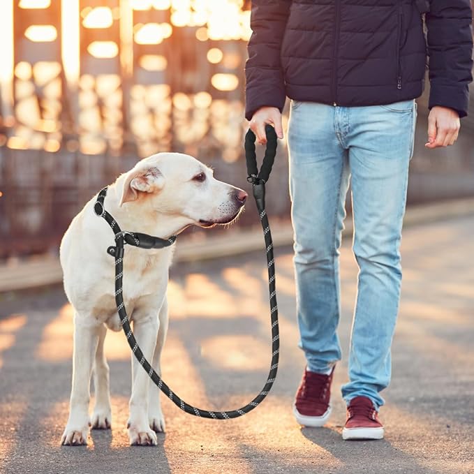 HOMIMP Slip Lead Dog Leash 6 FT - Reflective 4 PCS Bulk Color Heavy Duty Rope Dogs Leash for Small Medium Large Dogs Puppy - Soft Long Padded Handle Thick Dog Leashes for Shelter, Vet, Training