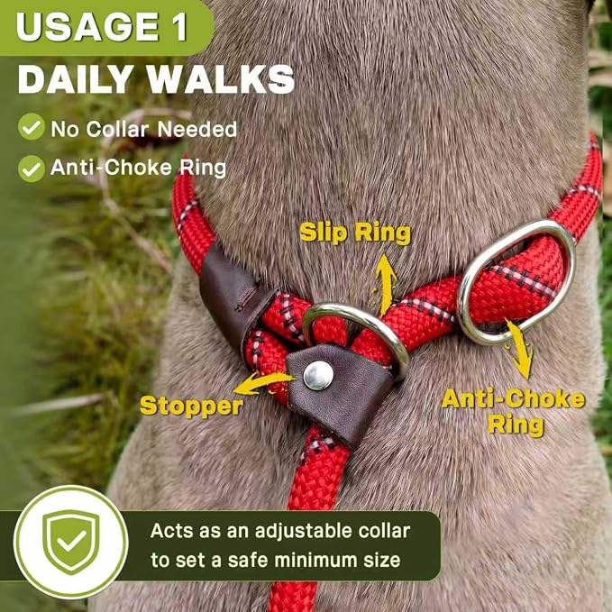 Fida Durable Slip Lead Dog Leash, 6 FT x 3/8" Heavy Duty Comfortable Strong Rope Slip Lead for Small Dogs and Puppies, No Pull Pet Training Leash with Highly Reflective (3/8", Red)