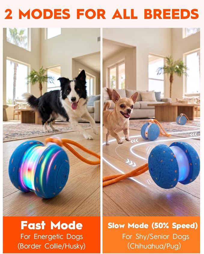Xeuch Interactive Dog Toys, Automatic Irregular Moving and Rolling Dog Ball with 2 Speed Modes, E-TPU Material, Motion Activated Pet Toys with Rope for Dogs Puppies, Dog Stimulation Toy (Blue) | 2 Speed Modes, E-TPU Material, Motion Activated Pet Toys ...
