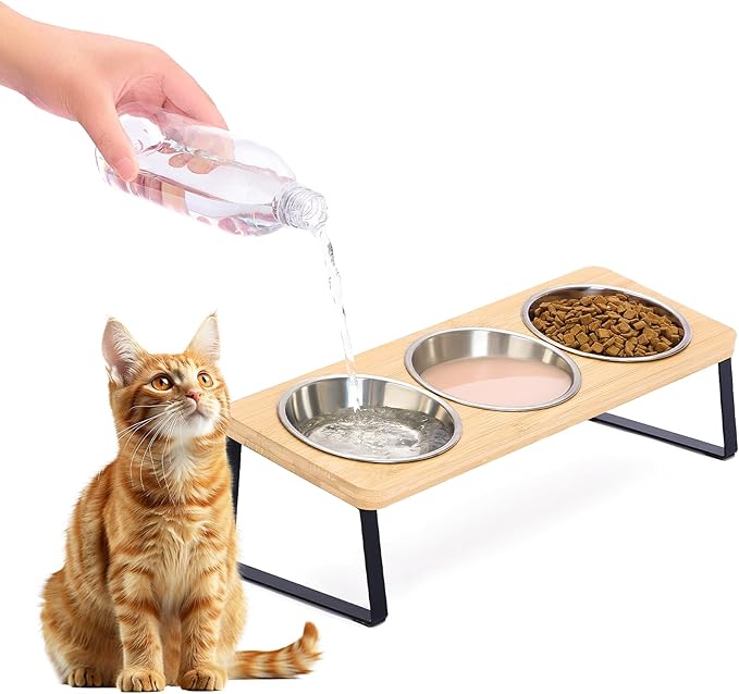 Elevated Cat Bowls, 15° Tilted Raised Cat Food and Water Bowl | Anti-Vomit & Whisker-Friendly Design, 3 Stainless Steel Bowls for Cats and Small Dogs