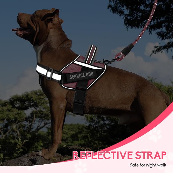 Service Dog Vest Harness and Leash Set, Animire in Training Dog Harness with 10 Dog Patches, Reflective Dog Leash with Soft Padded Handle for Small, Medium, Large, and Extra-Large Dogs (Rosy,M)