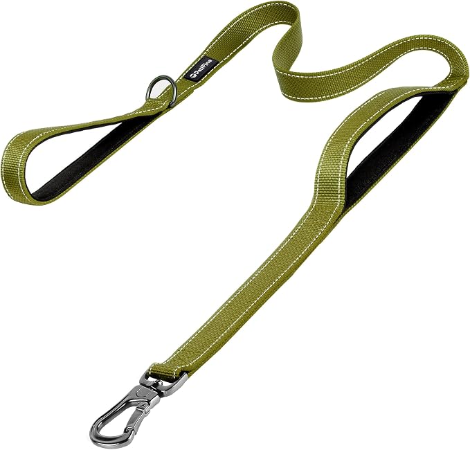 PetiFine 6FT Heavy Duty Dog Leash with Soft Padded Double Handle